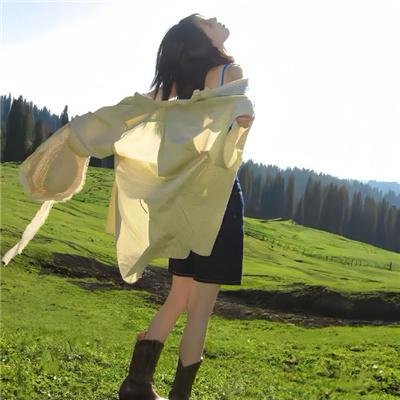 菜鸟老警第二季